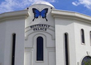 Branson - Butterfly Palace and Rainforest Adventure