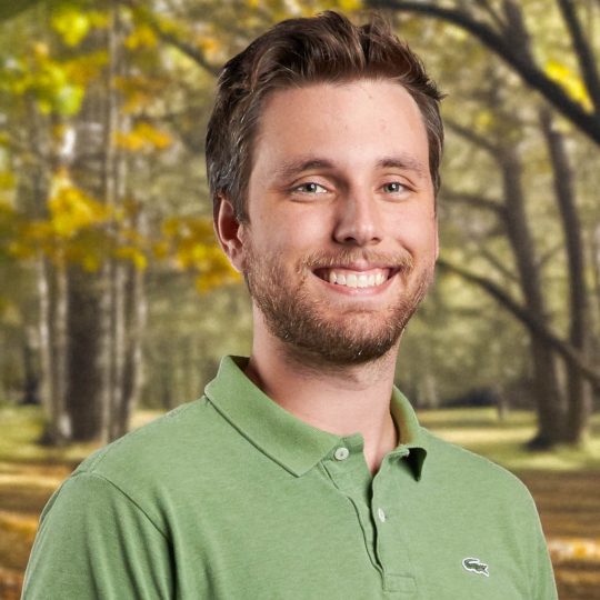 cole trees background